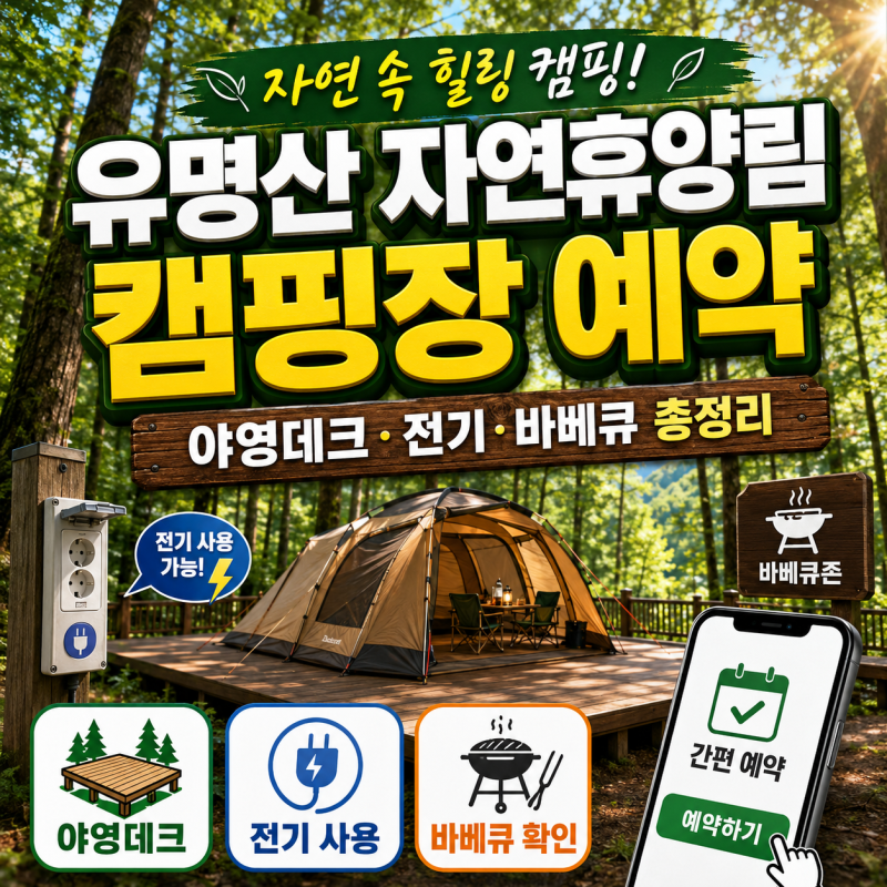 유명산 자연휴양림 캠핑장 예약, 야영데크·전기·바베큐 총정리
