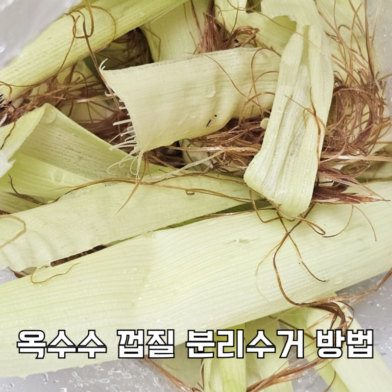 옥수수 껍질 분리수거 버리기 전 활용법까지