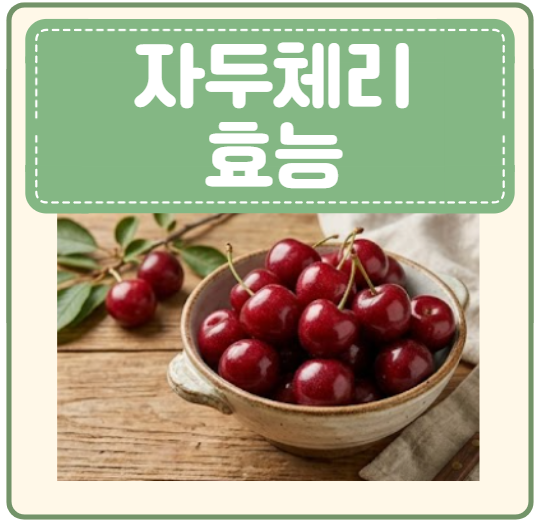 자두체리란 ? 바이오체리 자두체리 효능 맛 후숙방법 부작용