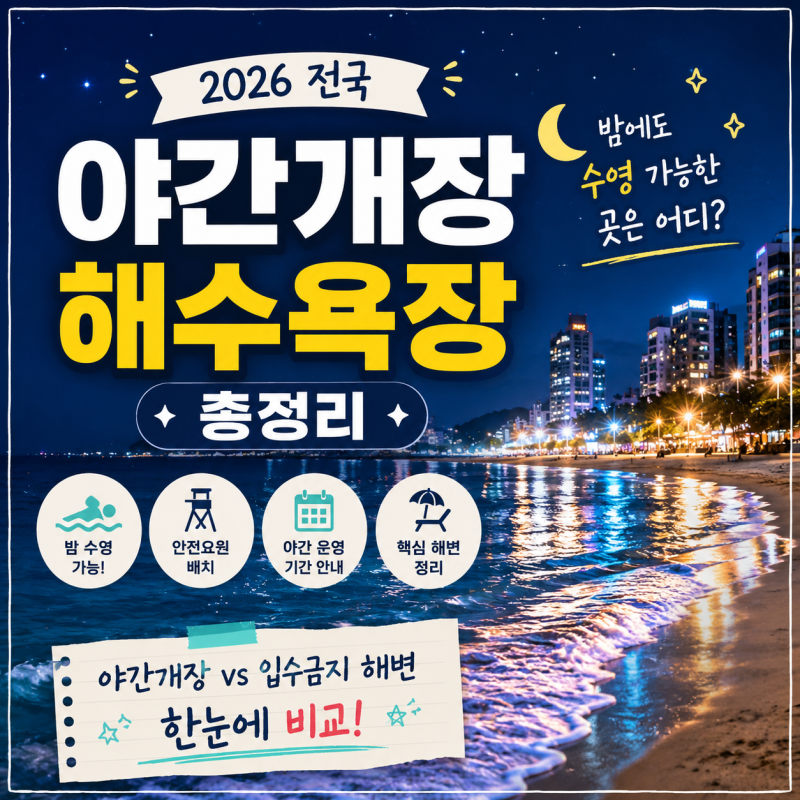 2026 전국 야간개장 해수욕장 총정리｜밤에도 수영 가능한 곳은 어디?