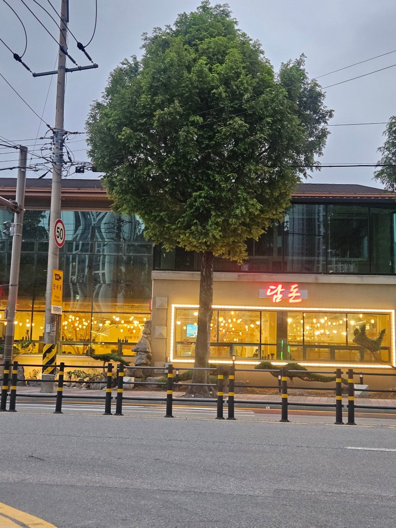 순천돈까스 "담돈" 위치 용당동 수제돈까스집