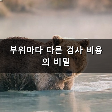 MRI 가격 미리 알아보고 병원 선택하는 방법