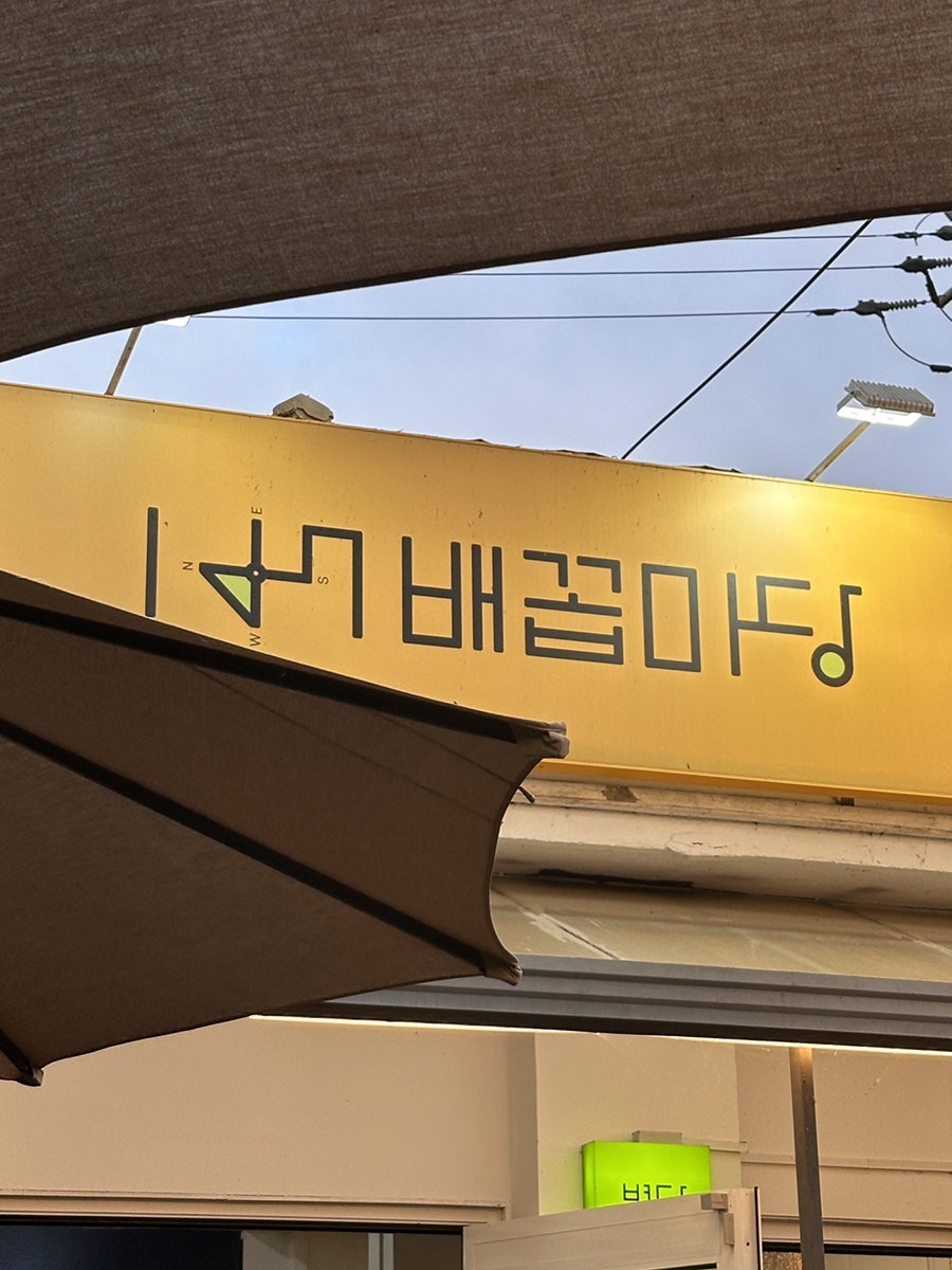 배꼽 사진 6