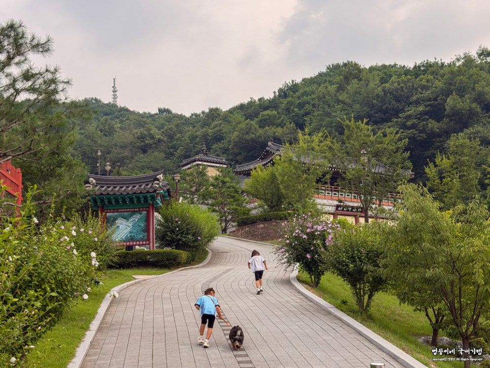 서희테마파크 사진 2