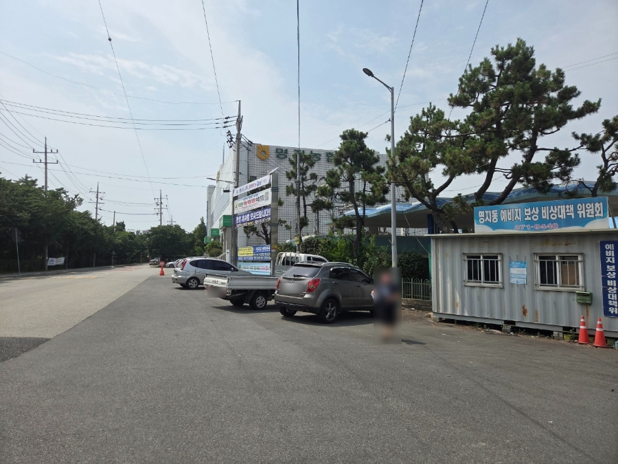 수미가 사진 3
