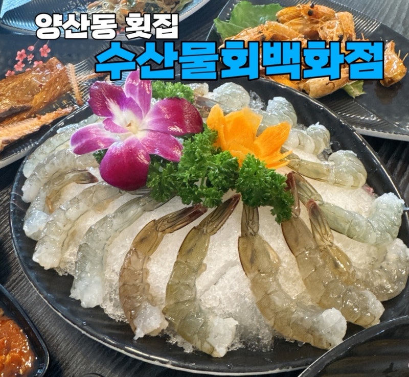 [수산물회백화점] 양산동 횟집 생새우회 맛집