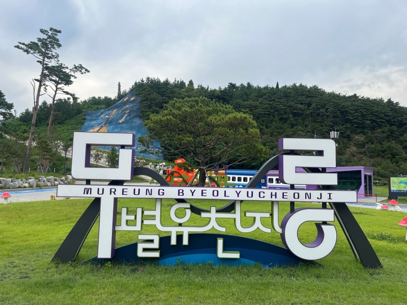 동해 라벤더축제 무릉별유천지 아이랑 가볼만한곳 후기