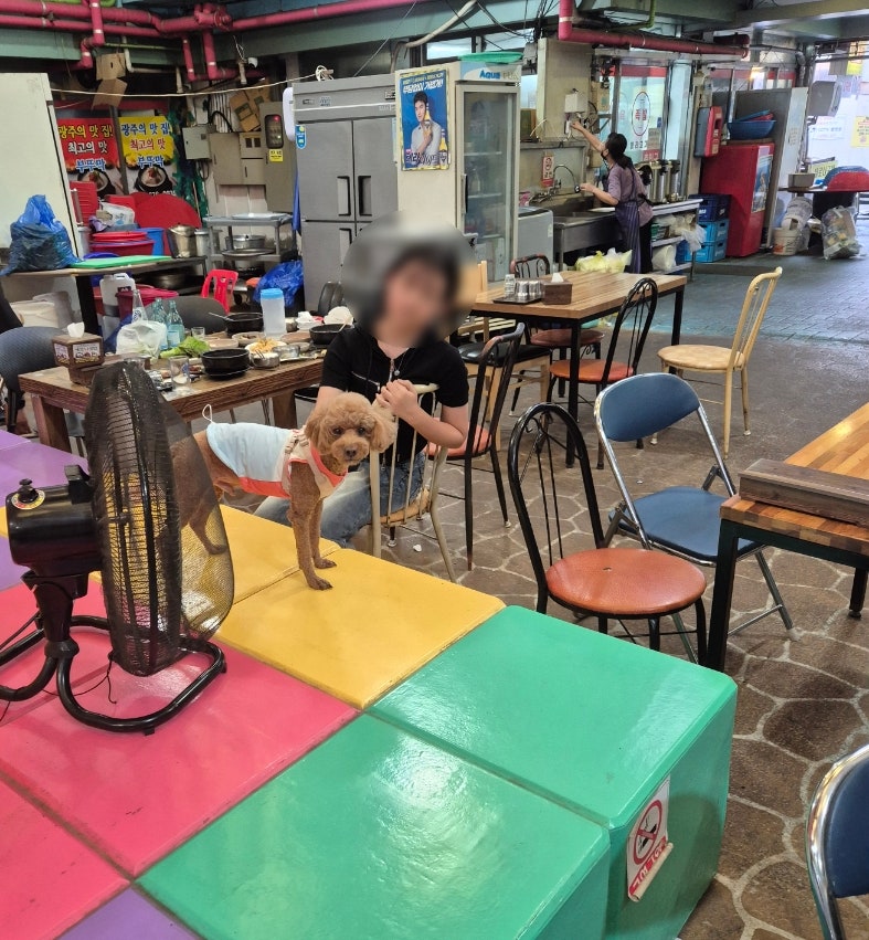 새로나국밥 사진 5