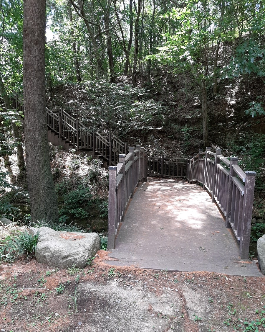 용봉산자연휴양림 사진 3