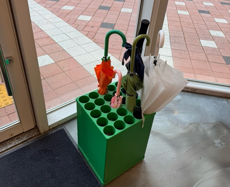 오크 사진 4