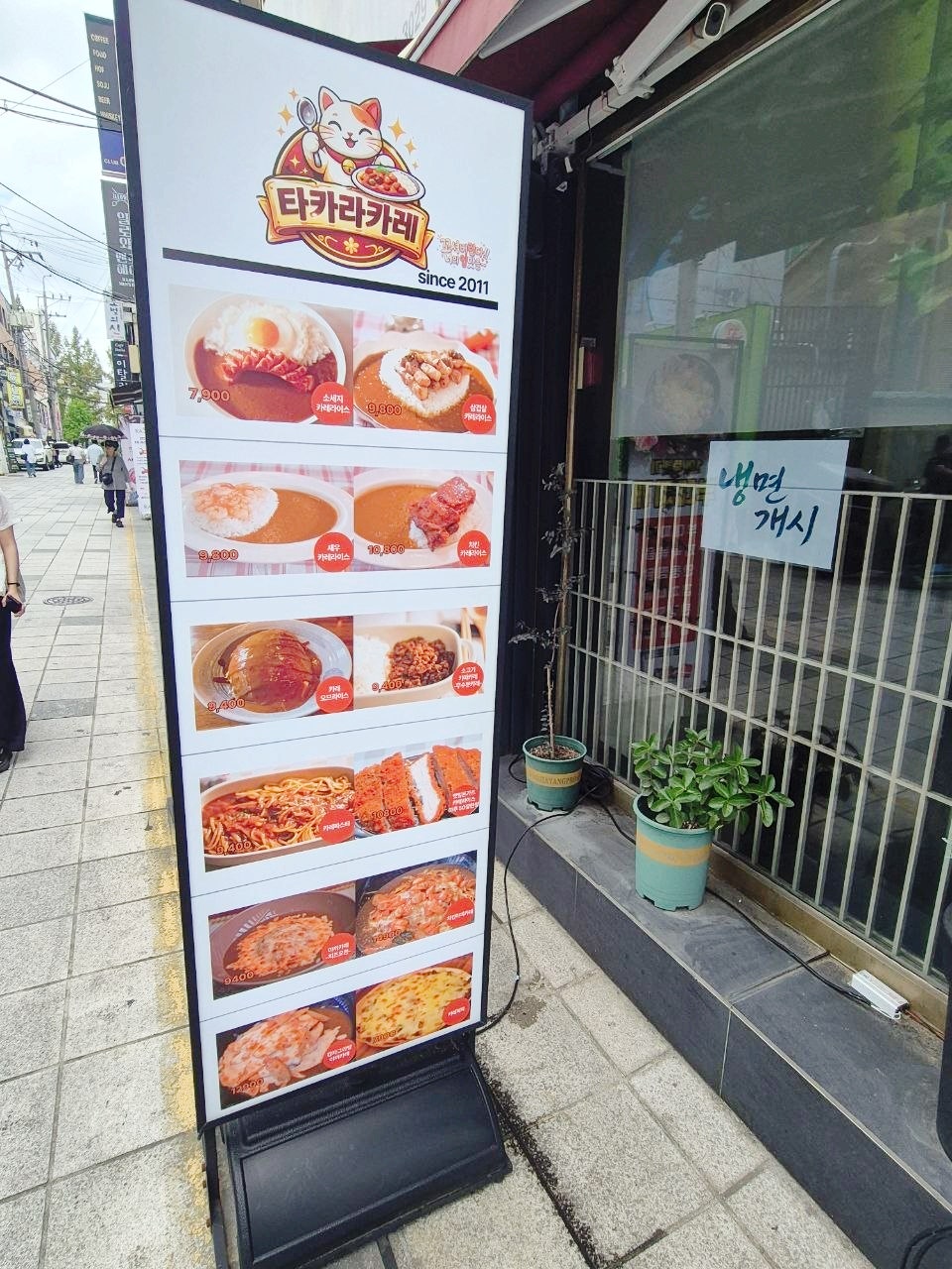 타카라카레 사진 2