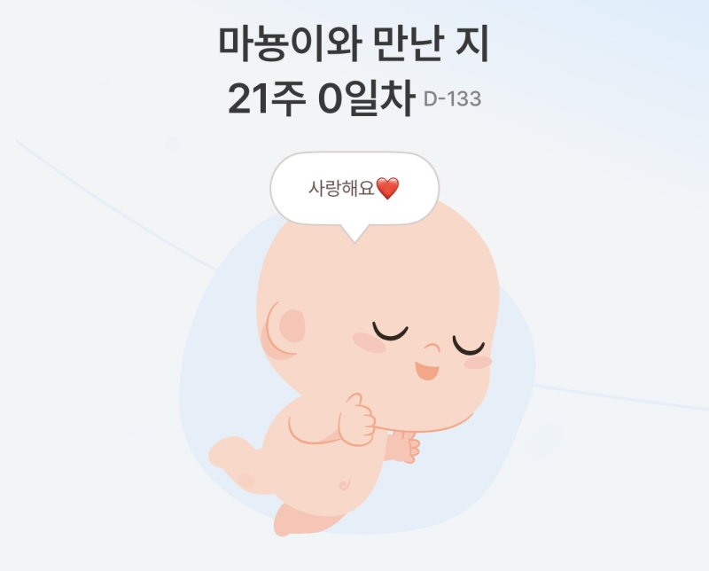 [임신 21주차] 일산 차병원 정밀 초음파 검사 비용 시간 후기 ㅣ임당검사 / 입체초음파 예약