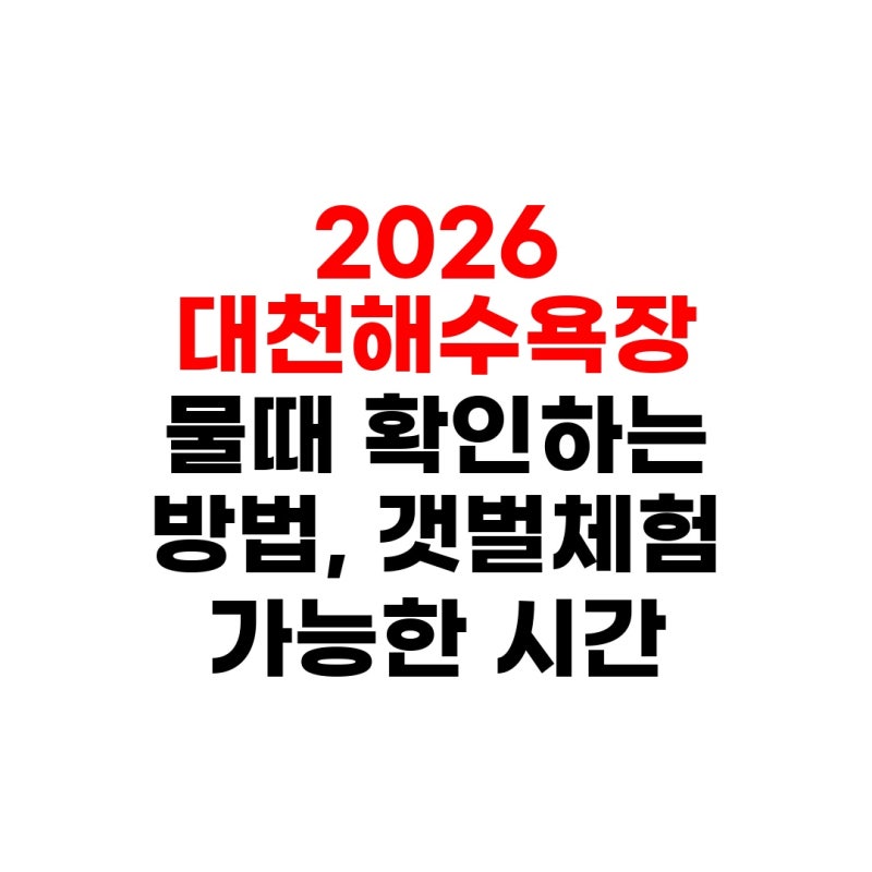 대천해수욕장 물때표 시간표 보는법 해루질 갯벌체험 포인트