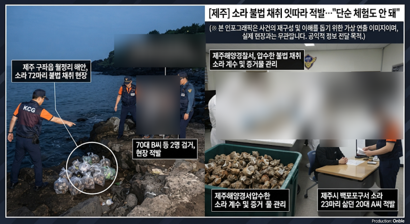 [제주] 여름철 소라 금어기 불법 채취 잇따라 적발…해경 단속 강화