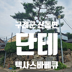 구례군 산동면 단테 텍사스바베큐 전문점 산수유마을 맛집 추천 삼총사 세트 산수유에이드