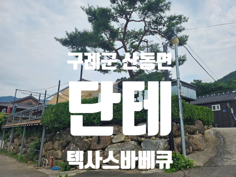 단테 사진 1