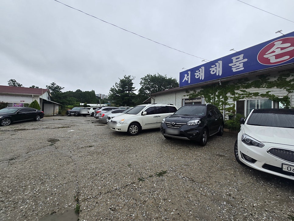 서해해물손칼국수 사진 2