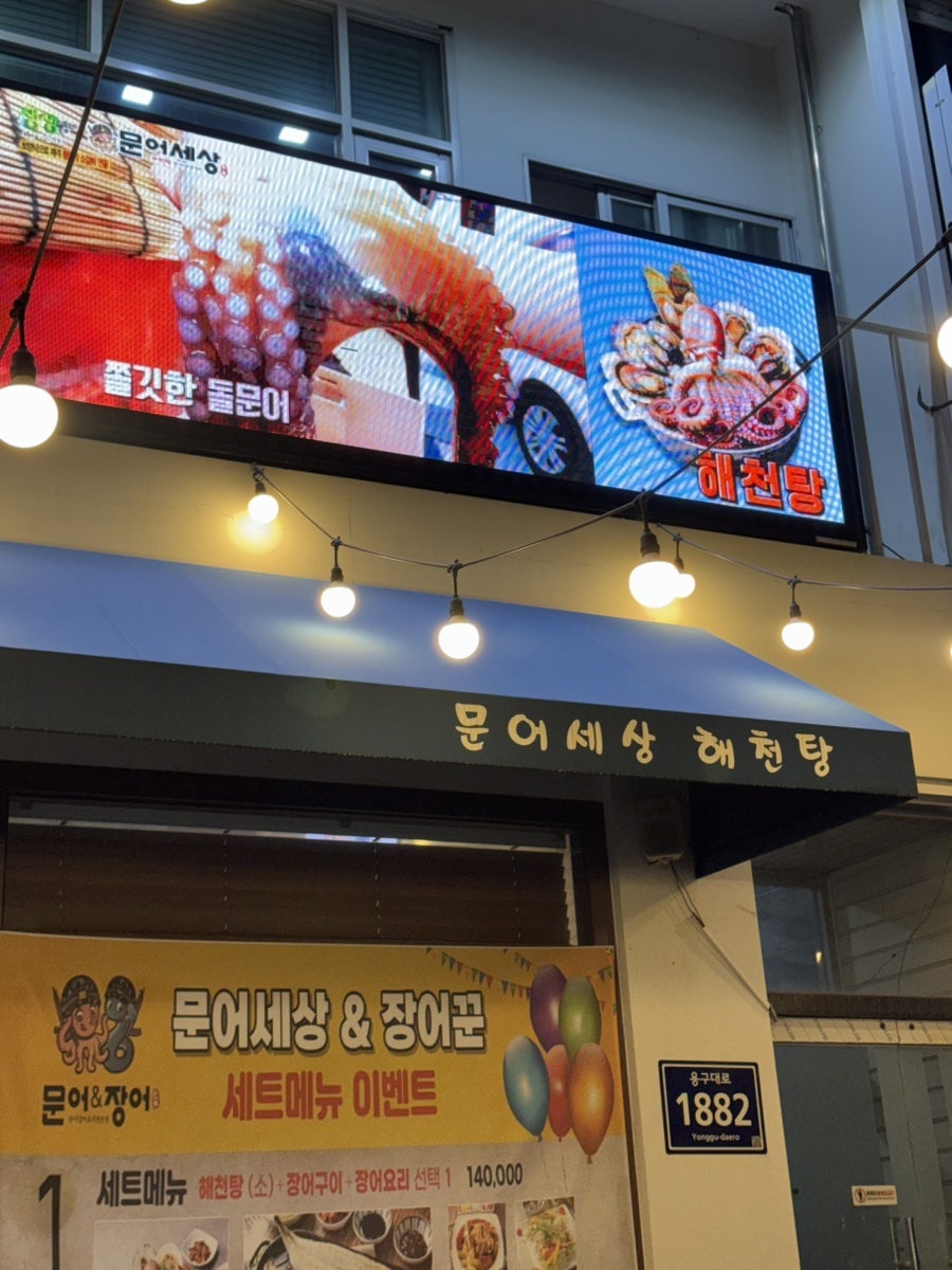 문어세상 사진 1