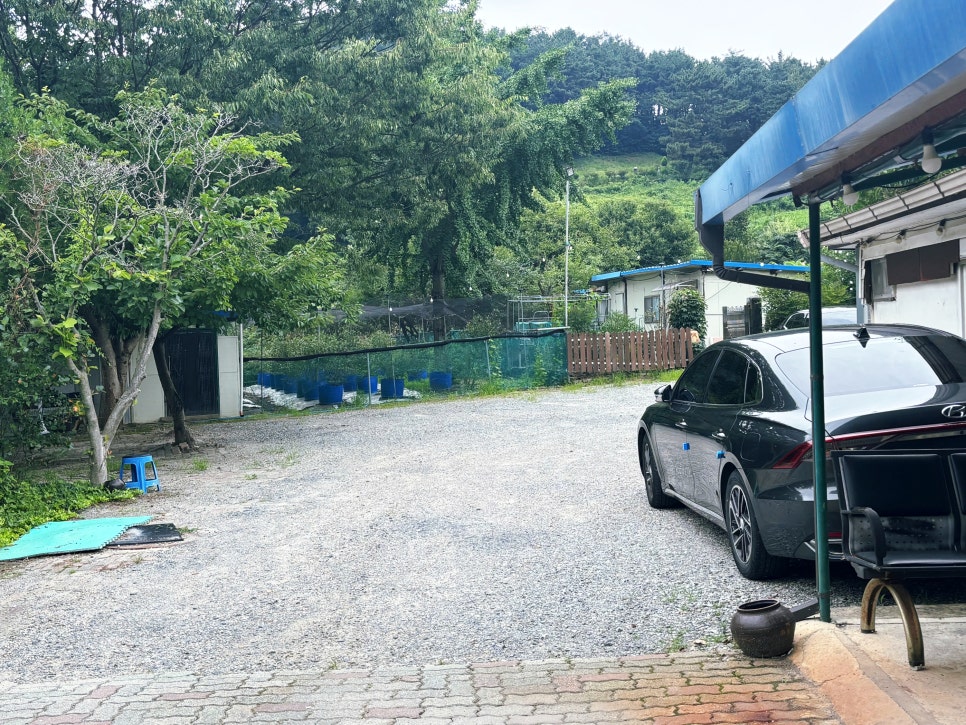 선일농장 사진 4