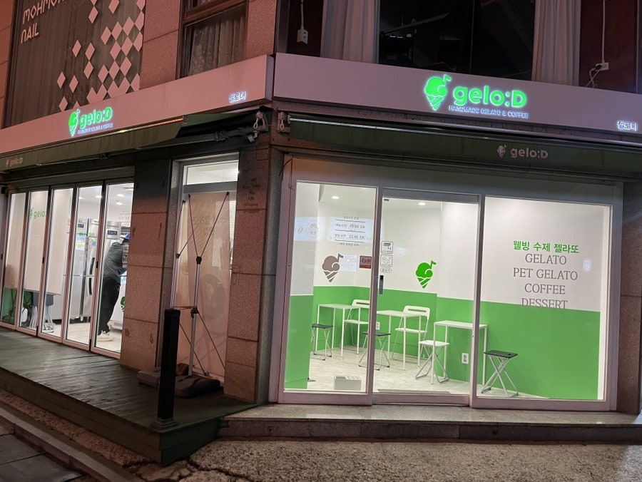 젤로디 사진 1