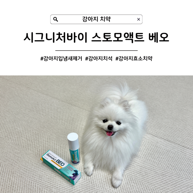 [강아지 치약] 강아지입냄새 제거 유산균 효소 치약, 시그니처바이 스토모액트 베오