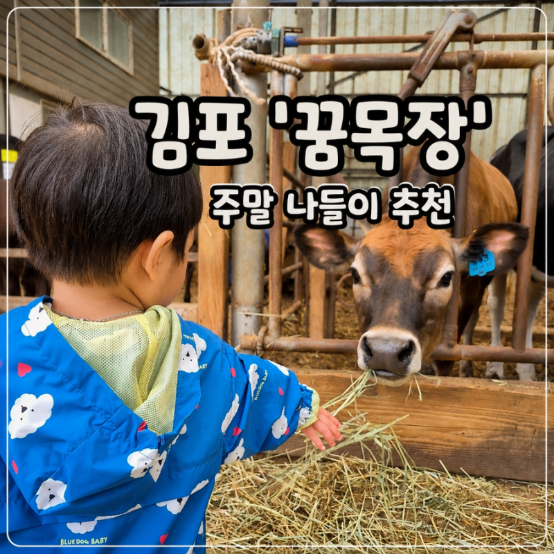 [김포] 두 돌 아이와 주말 나들이 추천 김포 '꿈목장'