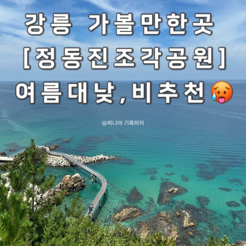 강릉 가볼만한곳 [정동진조각공원] 근데 여름 낮에는 비추 천해요 으앙
