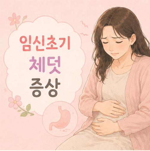 임신초기 체덧 증상 자주 체함 더부룩 심함 완화 음식 방법 총정리
