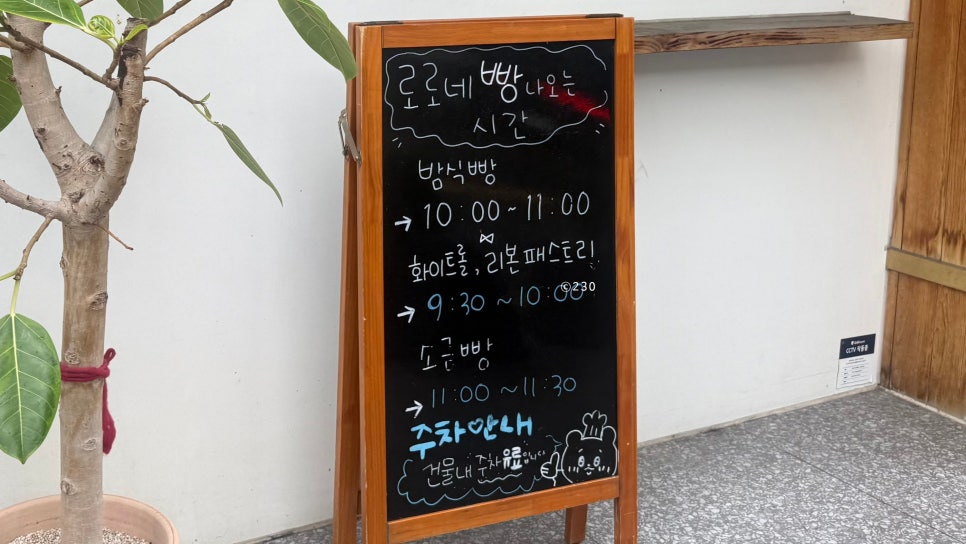 파티세리소신 사진 2