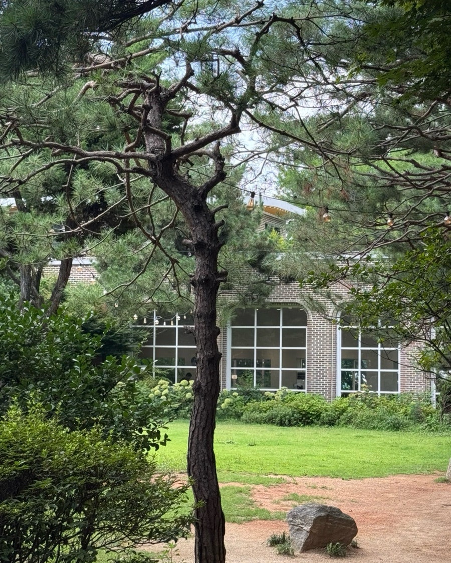 헤이더그린 사진 3