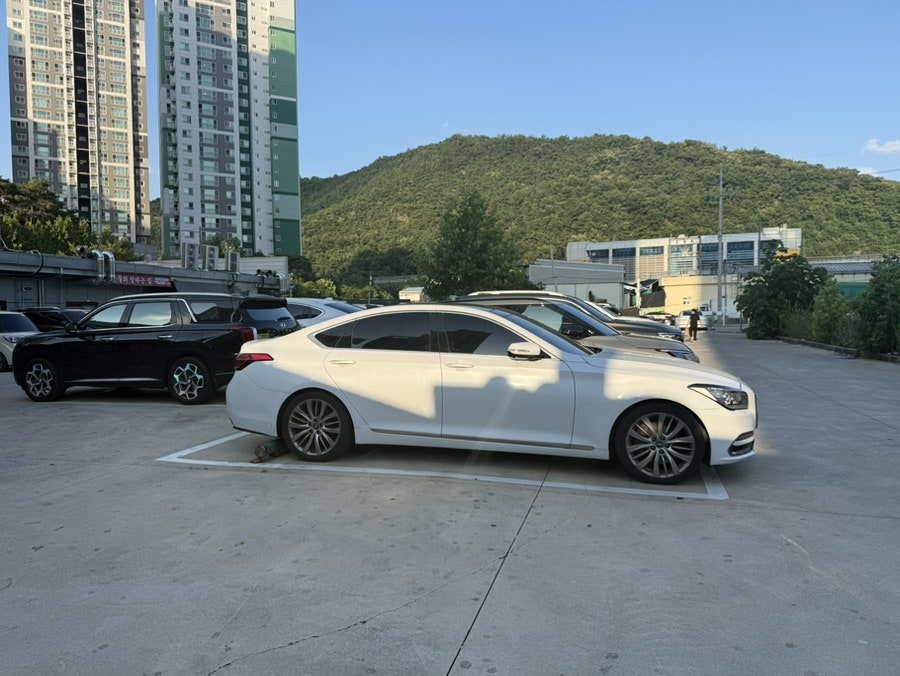 봉양한우 사진 2