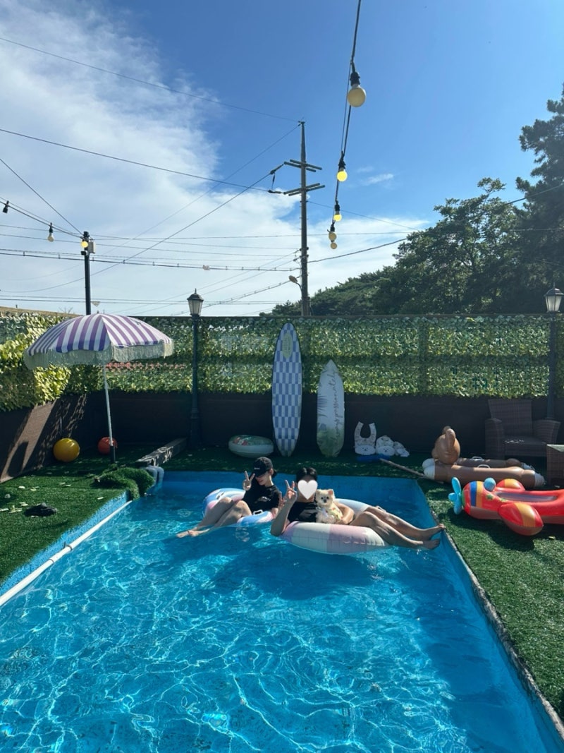 태안 1박2일 애견동반 여행(위드독애견풀빌라,안면카트체험장)