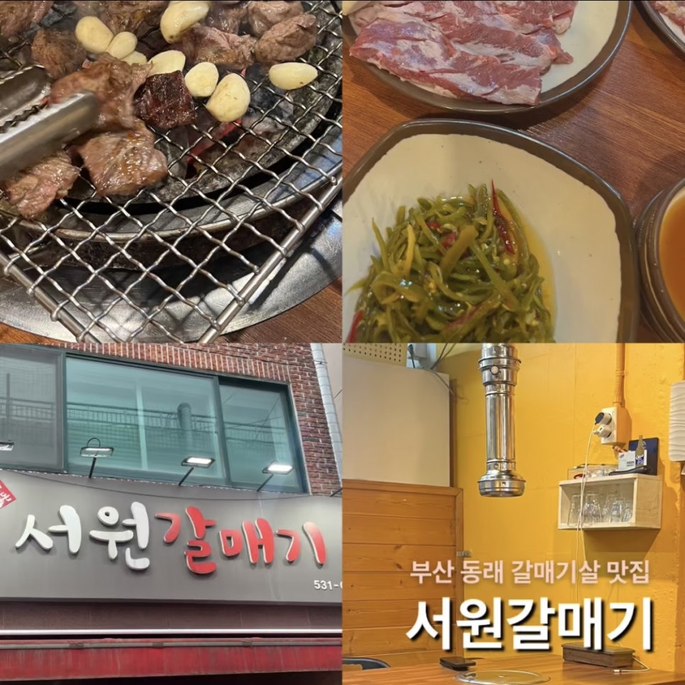 서원갈매기 사진 1