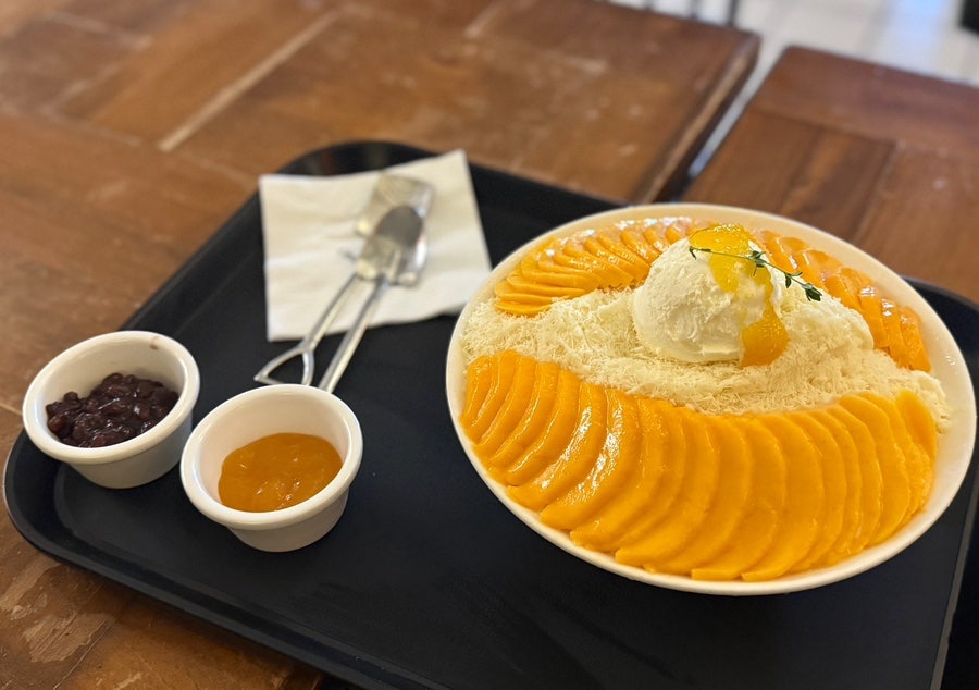 셀레브르 사진 5