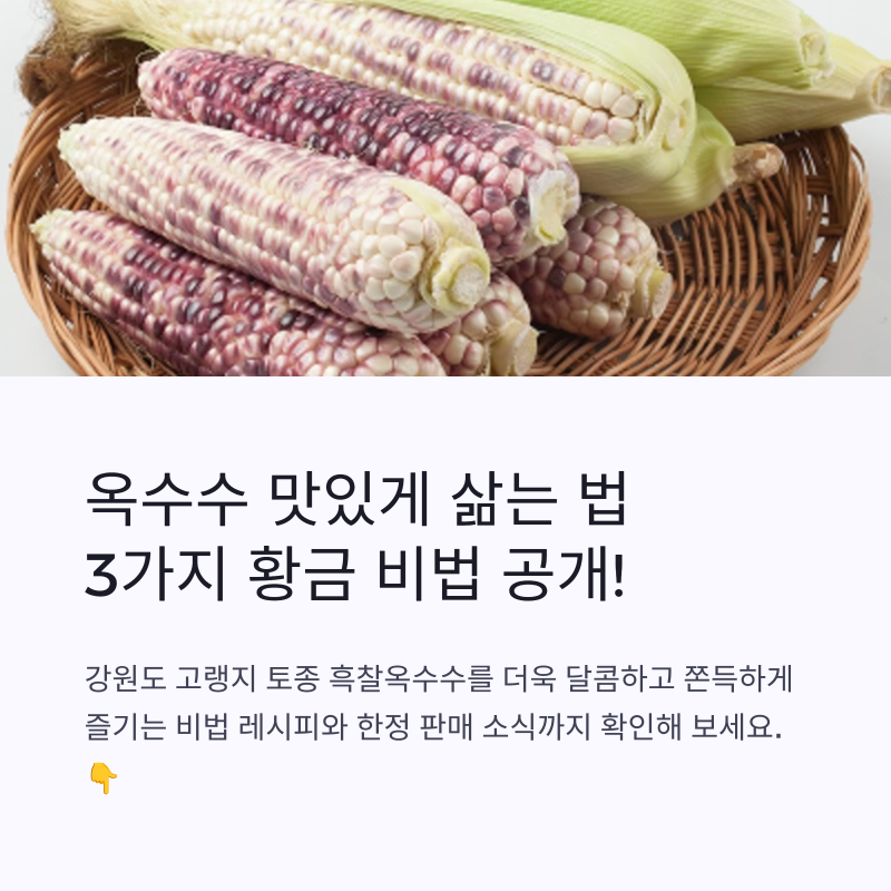 옥수수 맛있게 삶는 법 3가지 비법! 강원도 고랭지 토종 흑찰옥수수 선착순 100박스