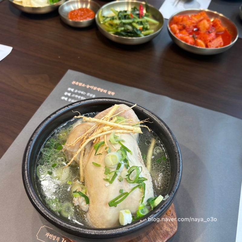 수원 삼계탕 맛집 추천 :: 본흑염소능이삼계탕 수원탑동점