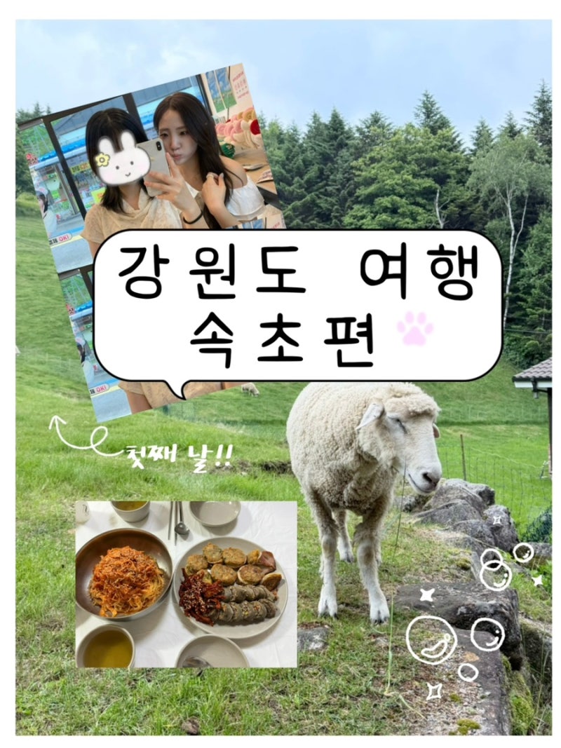 [강원도 여행] 로컬맛집추천, 코스 추천 _대관령양떼목장,속초 아바이회국수