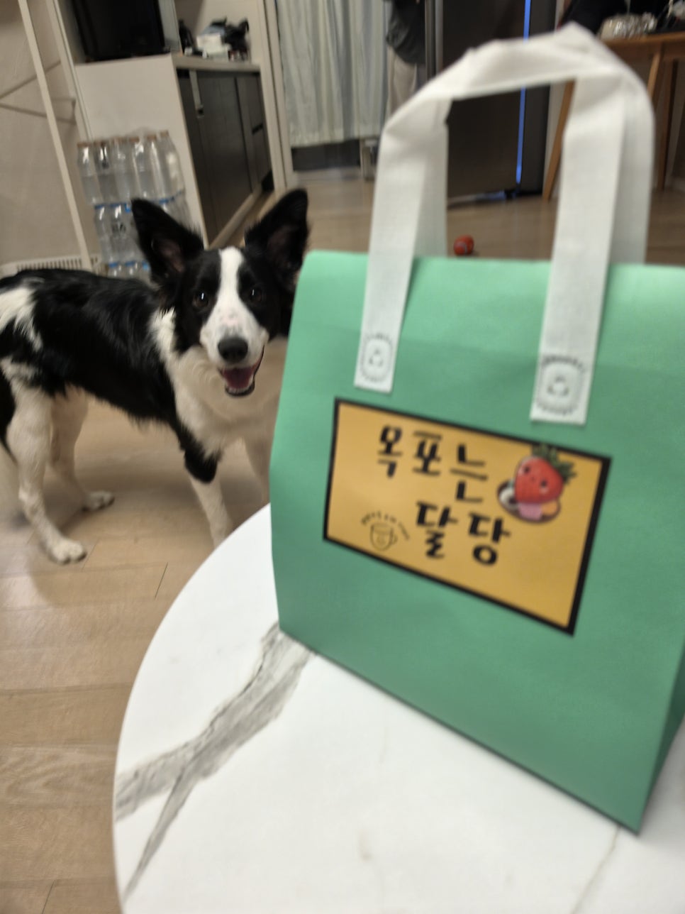 목포는달당 사진 5