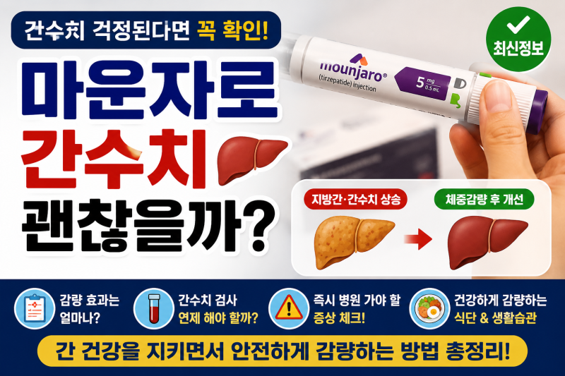마운자로 간수치 괜찮을까? 감량 효과와 검사 시점 총정리