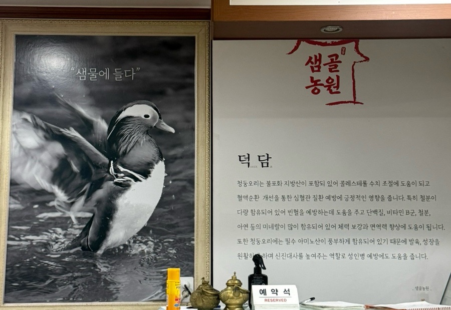 샘골농원 사진 2