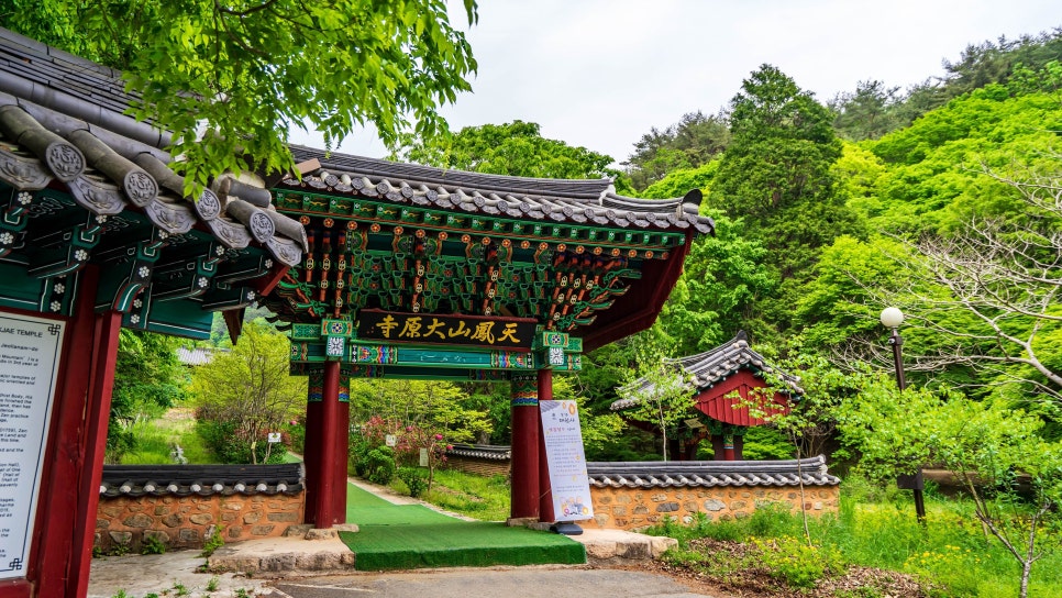 천봉산 사진 1