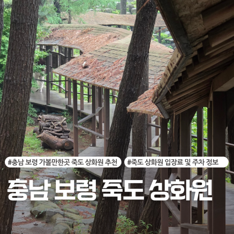충남 보령 가볼만한곳 - 보령 여행 당일치기 코스 한국식 전통정원 '죽도 상화원' 입장료 및 ....