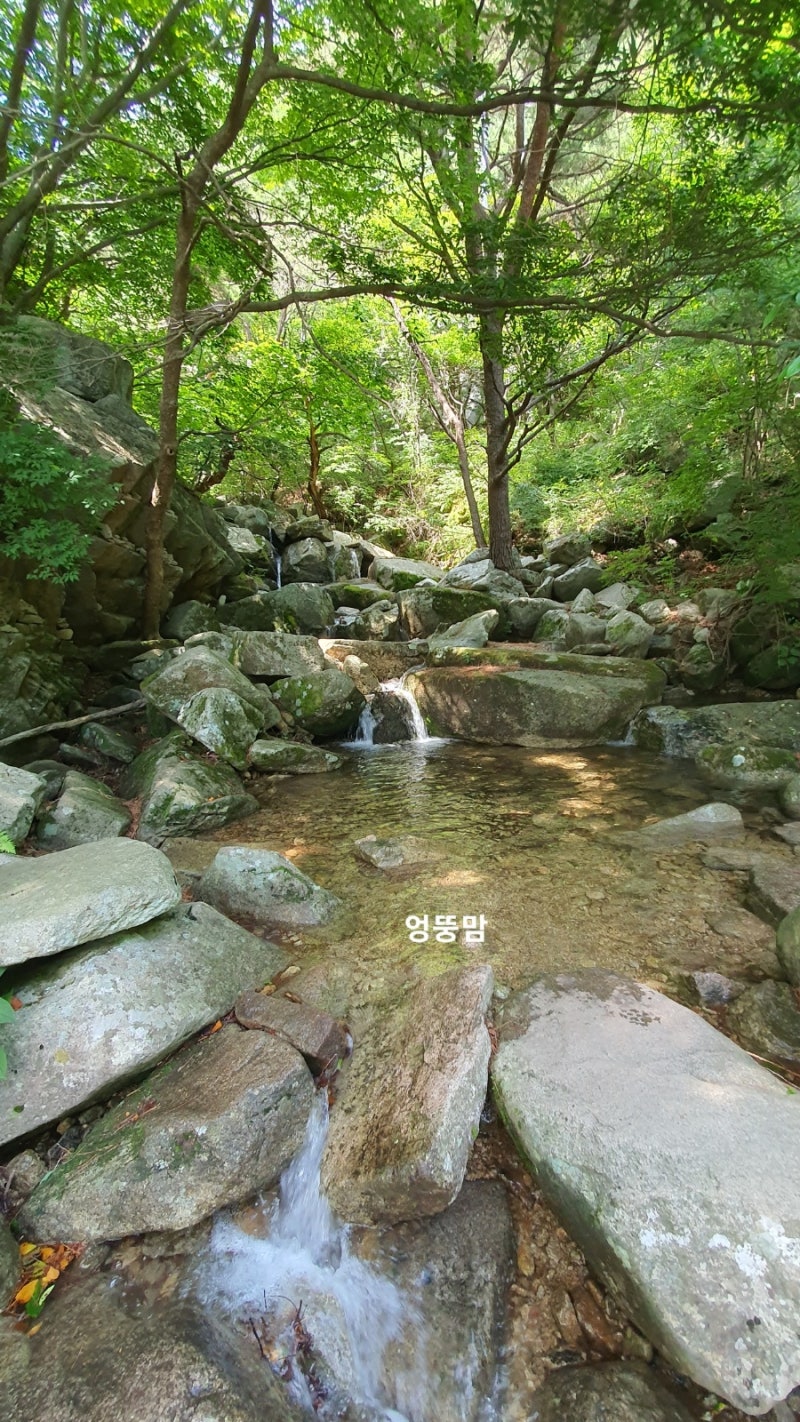팔공산 수태골 ~ 동봉 코스