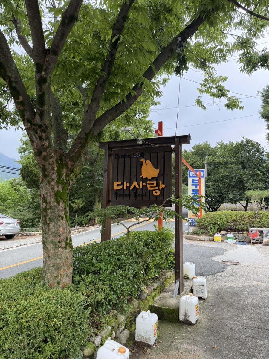 다사랑 사진 1