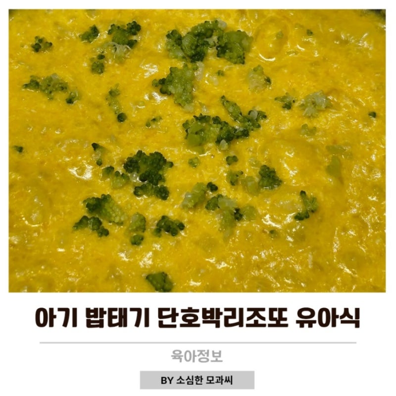 11개월 아기 밥태기 단호박리조또 유아식 한그릇 레시피