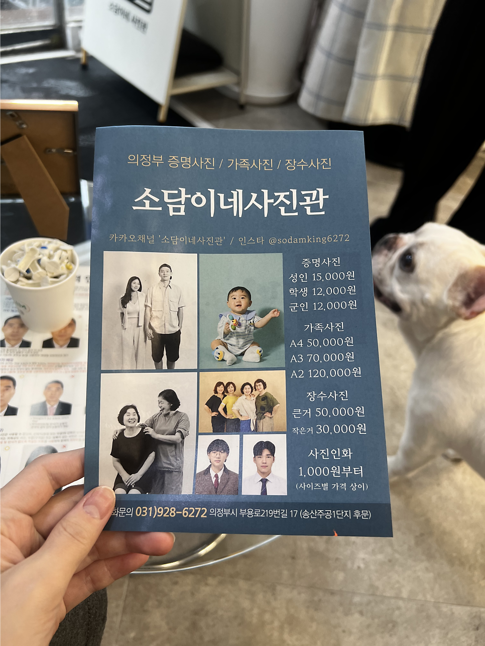 소담 사진 2