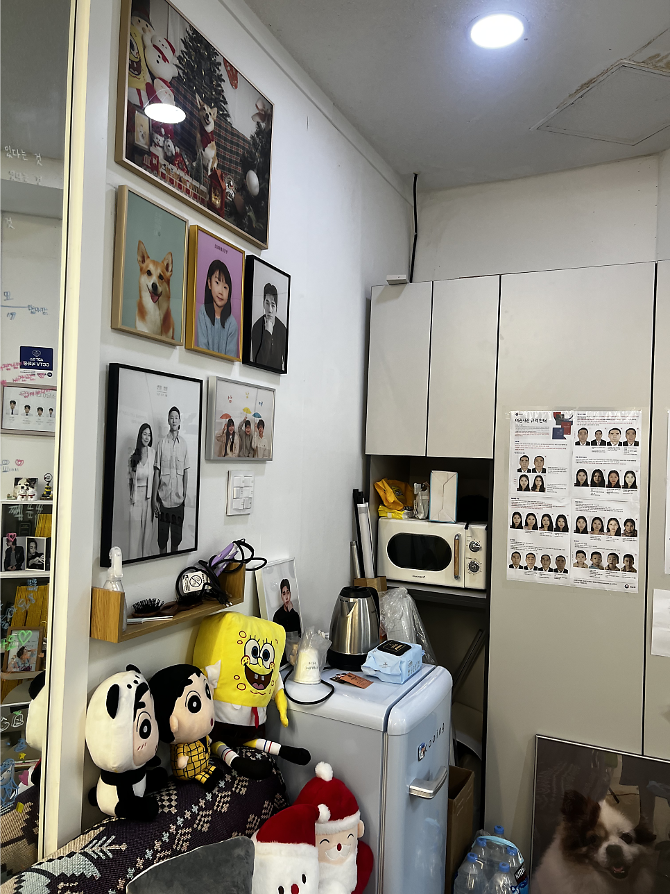 소담 사진 4