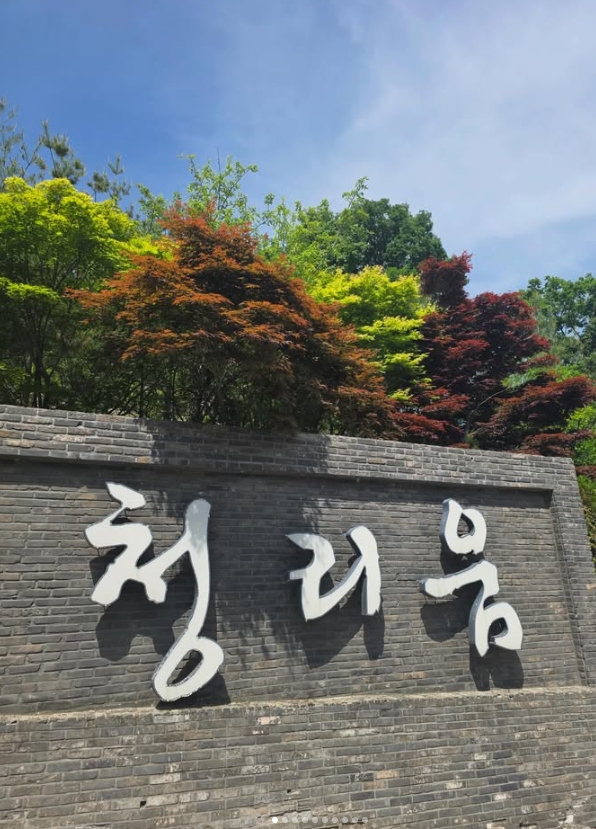 마루534 사진 2