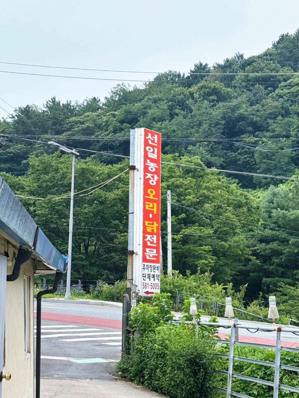 선일농장 사진 1