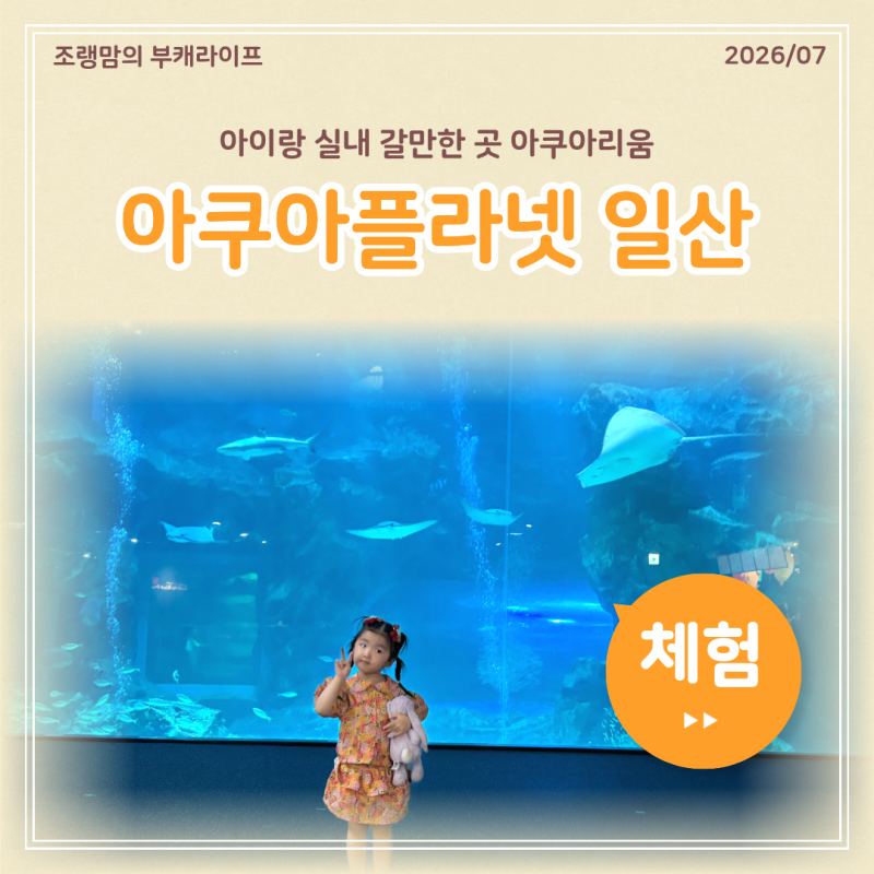 아쿠아플라넷 일산 할인 꿀팁 다흑 아이랑 실내 갈만한 곳